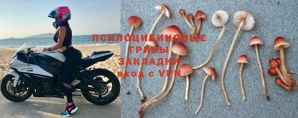 скорость Белокуриха