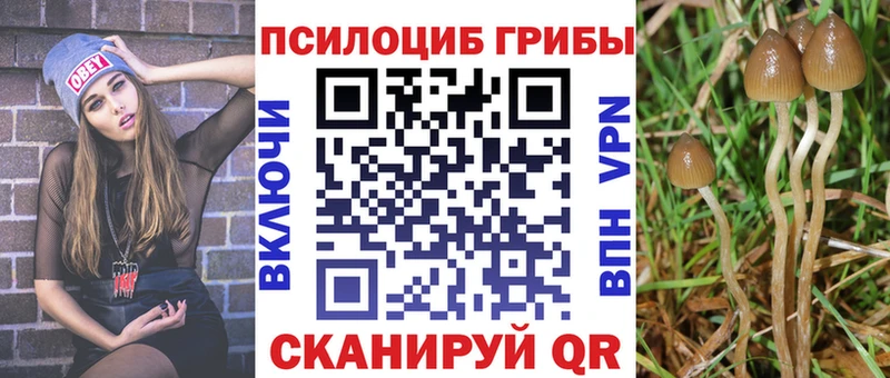 продажа наркотиков  Уссурийск  Псилоцибиновые грибы Magic Shrooms 
